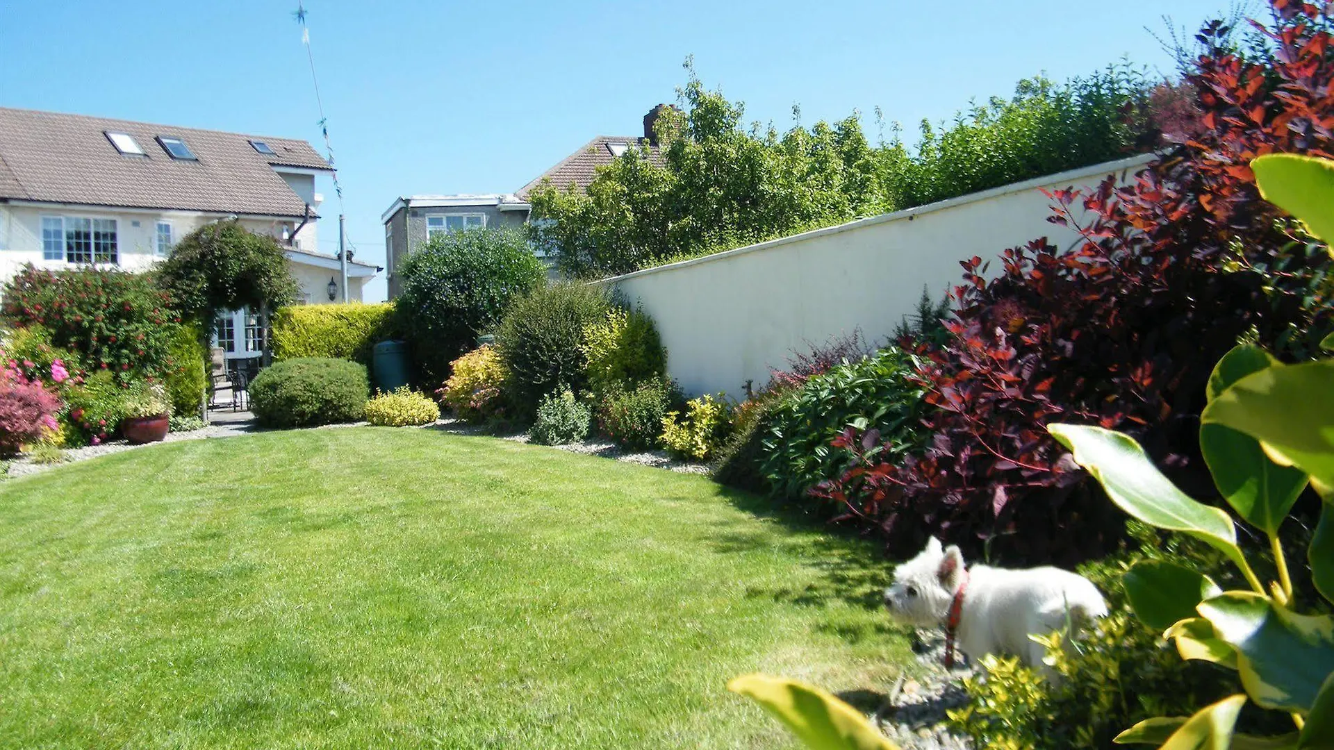Almanii Bed and Breakfast Dublin 3*,  Ierland
