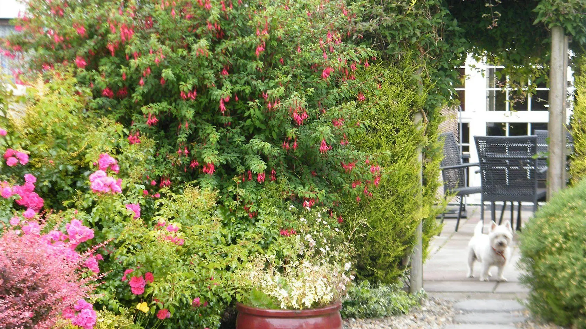 Almanii Bed & Breakfast Dublin