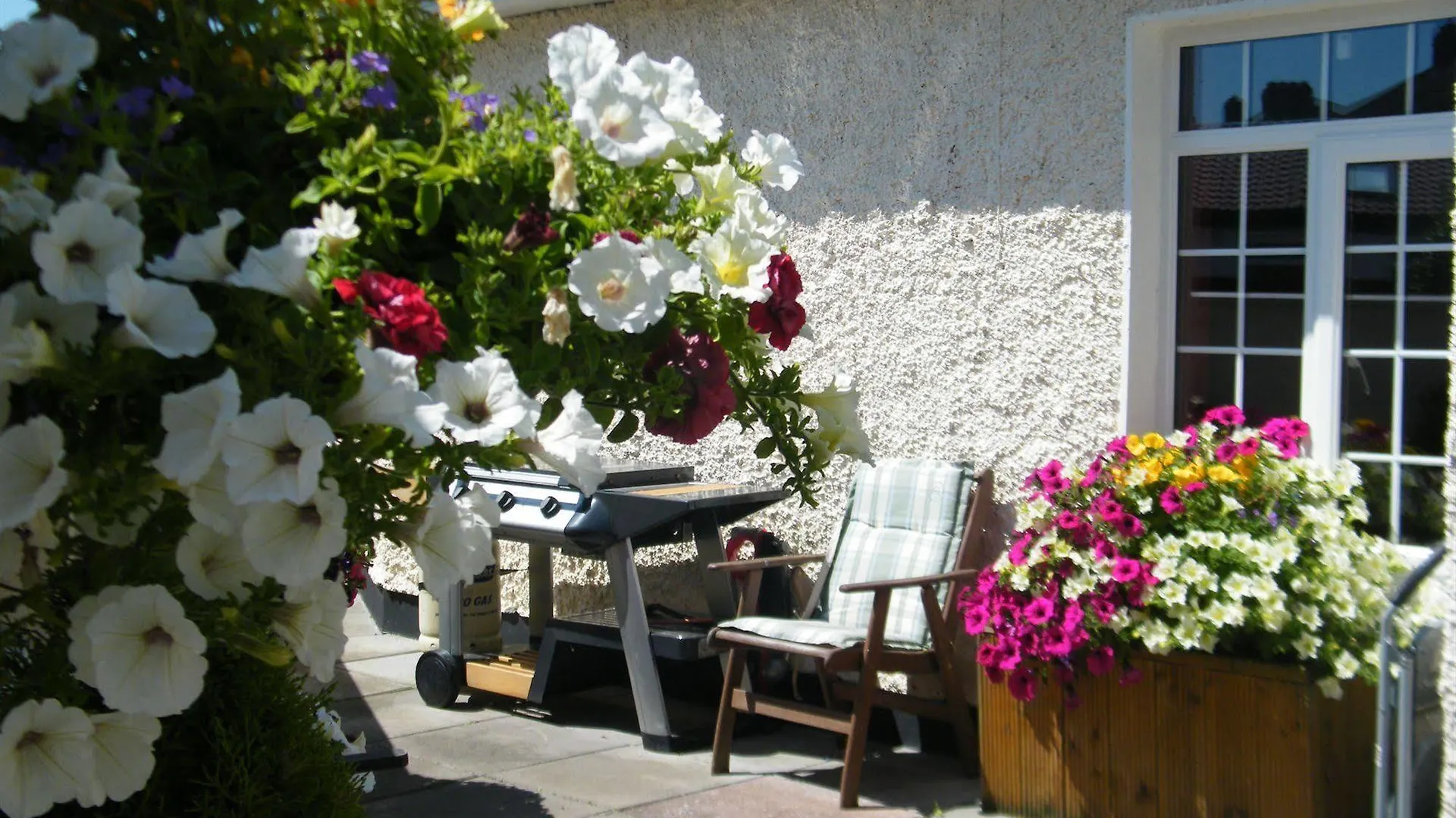 Almanii Bed and Breakfast Dublin